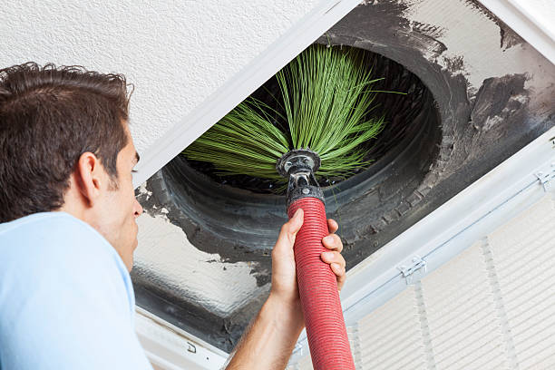 Best Home Air Vent Cleaning  in Lake Butler, FL